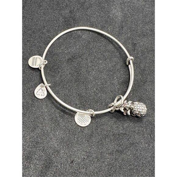 Nice Alex and Ani Pineapple Charm Bracelet silver tone, and Bella Ryann Expandab - Picture 1 of 12